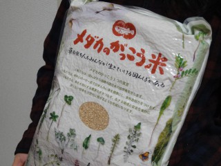 DSC05127